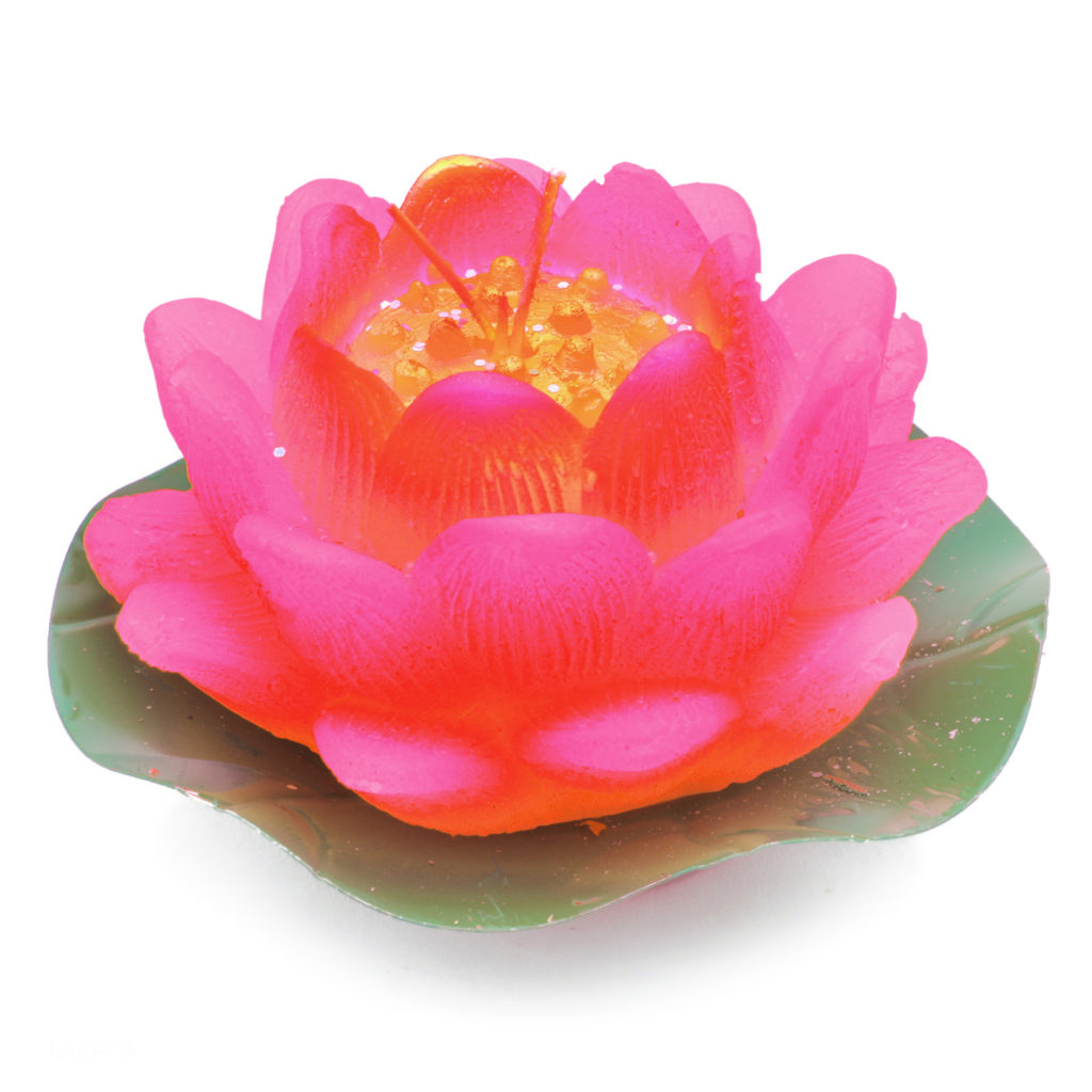 Ý nghĩa hoa sen trong Phật giáo - hình ảnh hoa sen, thật là hữu lý ...