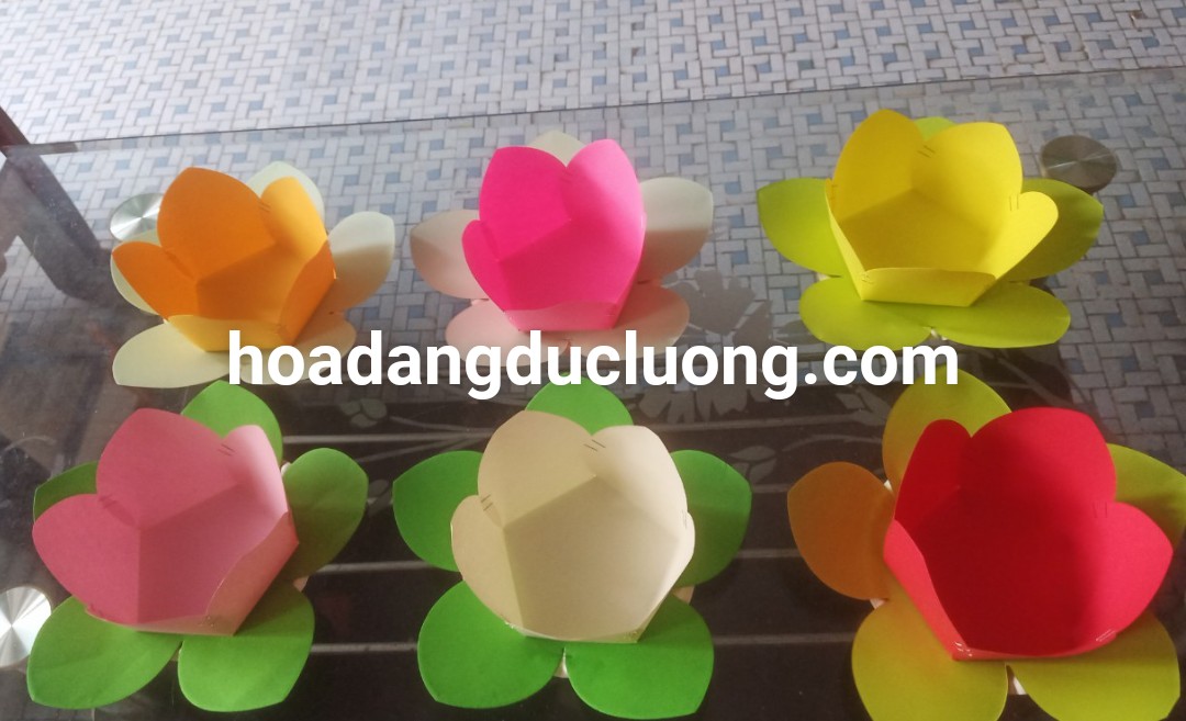 Hoa đăng giấy màu sắc đa dạng