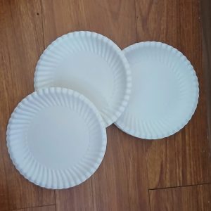 Đĩa giấy trắng đẹp an toàn cho sức khỏe, bảo vệ môi trường giá chỉ 47k/1 xấp 50 cái