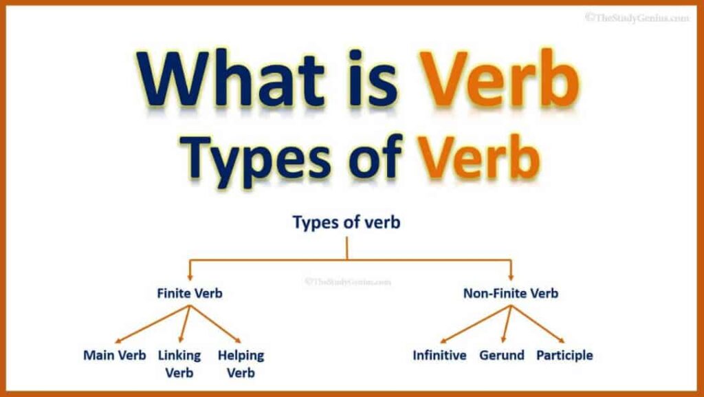 What Is A Verb And Types Of Verbs động Từ La Gi Va Cac Loại động Từ Phổ Biến Hoa đăng đức Lương