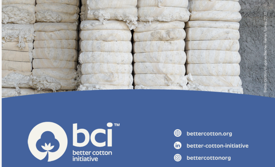Cung cấp tài liệu Bản gốc và bản dịch tiêu chuẩn Truy Xuất Nguồn Gốc Bông Better Cotton file pdf: Chọn Đúng Mô Hình Chuỗi Hành Trình Cho Doanh Nghiệp Dệt May - Ảnh 5